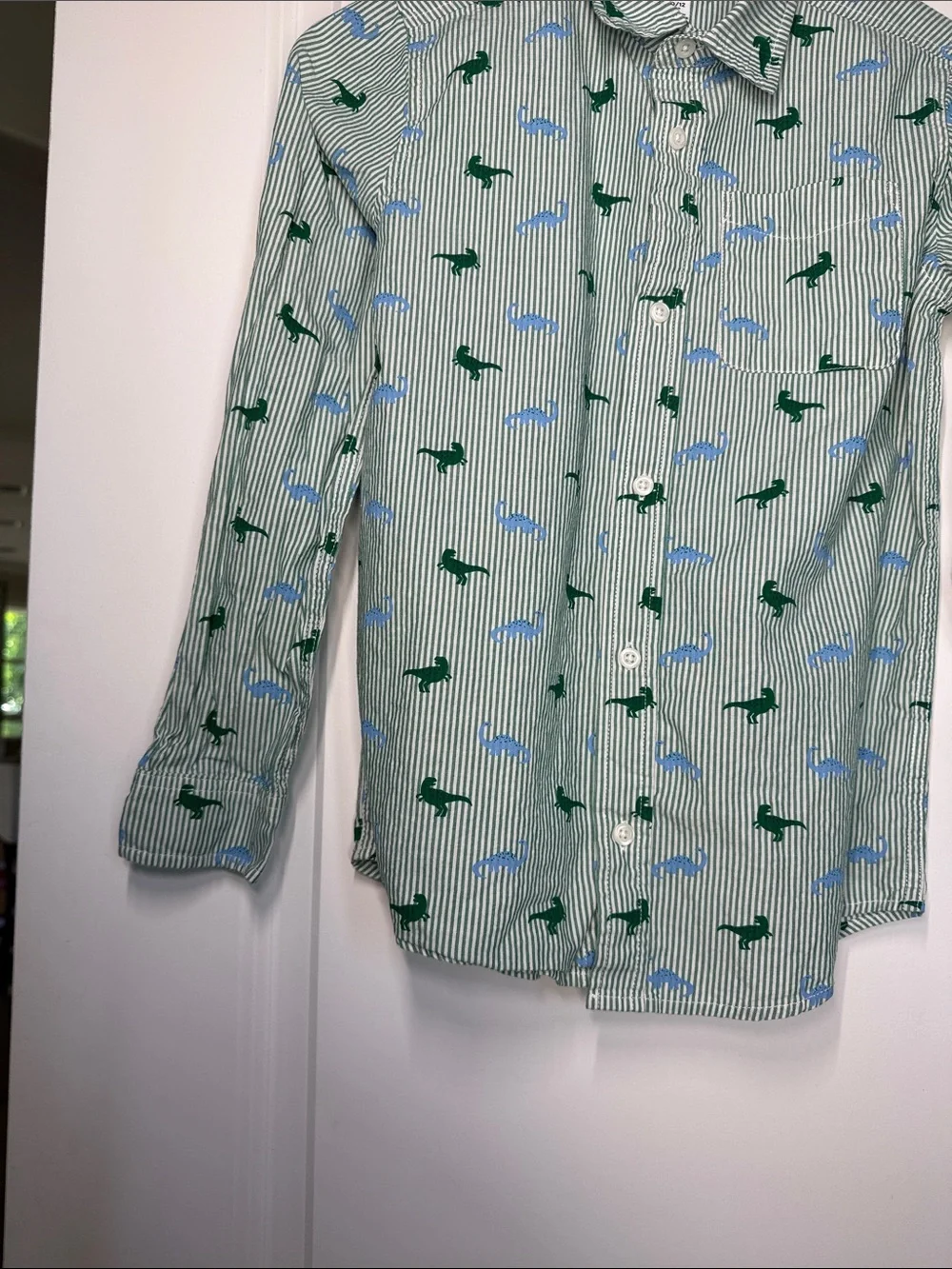 The Children's Place Green & Blue Striped Button-Down Shirt with Dino Print